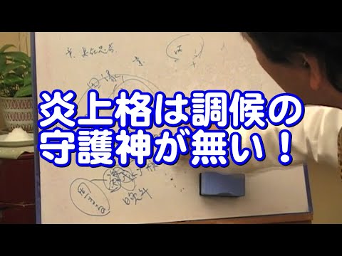 質疑応答集_31.2 - 炎上格は調候の守護神が無い、双子の命式