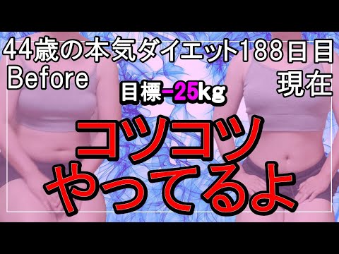 【ダイエット Vlog】コツコツやってるよ♪アラフォー44歳ぽっちゃり女のダイエット中の1日の食事記録188日目☆毎日体重公開