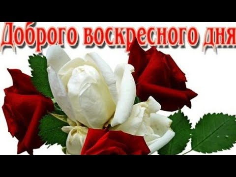 С ПЕРВЫМ ВОСКРЕСЕНЬЕМ ОСЕНИ! КРАСИВОЕ ПОЖЕЛАНИЕ ДОБРОГО ДНЯ!