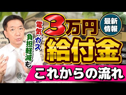 【いつ支給されるのか？】3万円、これからの流れについて/ 生活者・事業者に対する補助金の見通し/ 電気・ガス料金の負担軽減額/ その他経済対策/ 詐欺の体験談 等〈R6年12/4時点〉