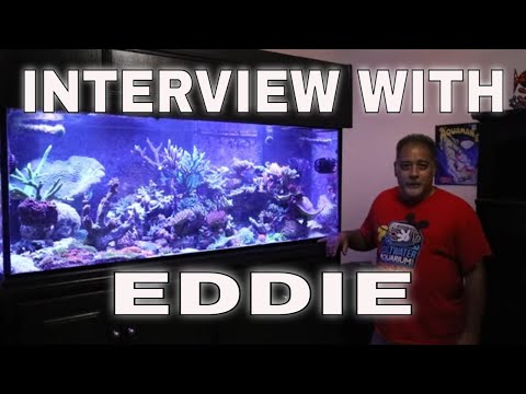 Saltwater Aquarium Tank Tour/Interview with EDDIE