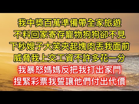 我中獎百萬準備帶全家旅遊，不料回家寄存寵物狗狗卻不見，下秒嫂子大笑夾起塊肉丟我面前，威脅我上交工資不許多花一分，我暴怒媽媽反把我打出家門，捏緊彩票我誓讓他們付出代價