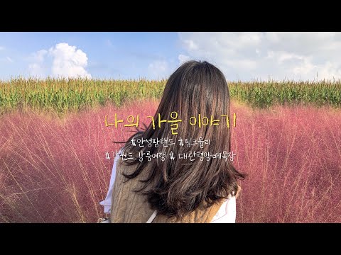 🌾나의 가을 이야기_안성팜랜드(feat.핑크뮬리)ㅣ강원도 강릉여행(feat.대관령 양떼목장)🐏