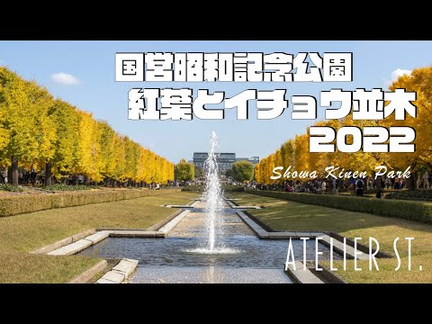 国営昭和記念公園　紅葉とイチョウ並木 2022