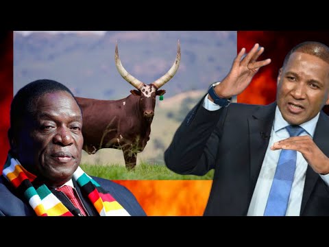 Duma Boko Refuses Zimbabwe Mnangagwas Cows