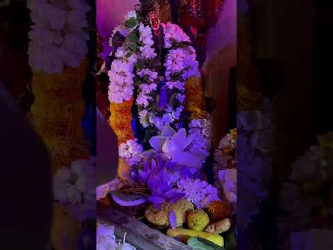 Lord Vishnu puja @ SDLMD, Sri Lanka  #god #lordvishnu #lakahminarayanan #narayan