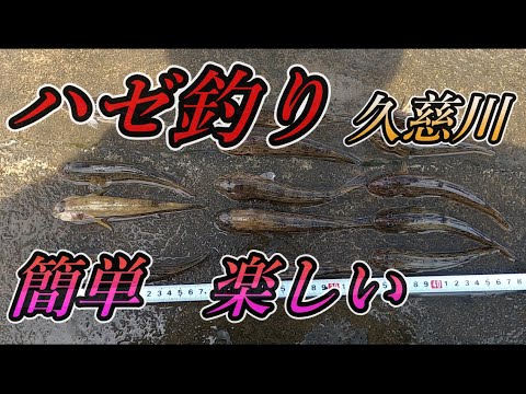 【ハゼ釣り】誰でも簡単に楽しめるハゼ釣り 久慈川河口