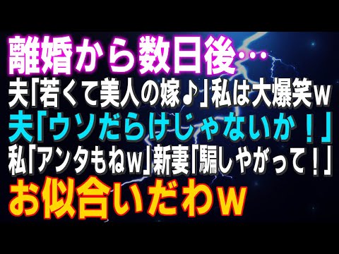 【スカッとする話】離婚から数日後…夫「若くて美人の嫁♪」私は大爆笑ｗ夫「ウソだらけじゃないか！」私「アンタもねｗ」夫「え？」新妻「騙しやがって！」お似合いだわｗ