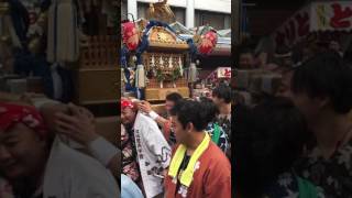 横須賀神輿パレード