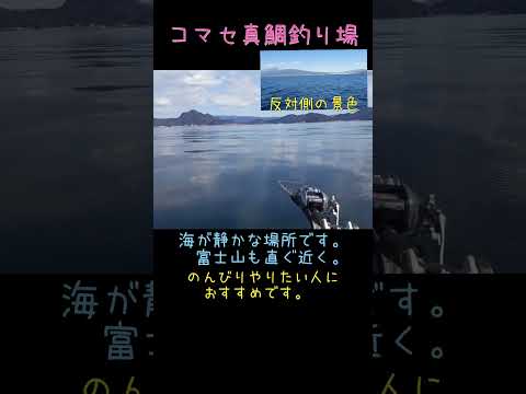 好きな釣り場のひとつ。沼津湾。どうせ行くなら午前船、午後船と乗りたいですねー　#コマセ真鯛　#真鯛釣り #関東の船釣り #沼津湾