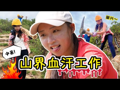 我搬百斤木上山？酷熱30度都要開工！這份工不是人做的！｜Ft. 綠惜地球