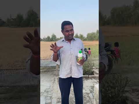 082 Anoop Singh from Sambhal District | Uttar Pradesh | Nano Urea Testimonial