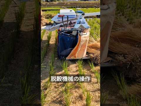 【米づくり】脱穀機械の操作