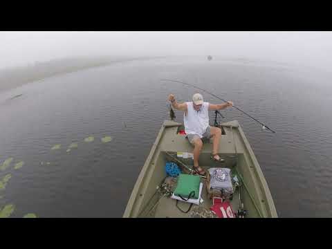 Bass Fishing Lake Okahumpka