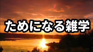 [雑学聞き流し] ためになる雑学