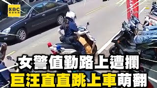 女警值勤到一半路上遭攔！巨汪直直跳上車萌翻 @newsebc