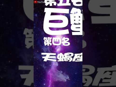 十二星座中谁最爱面子#星座#星座运势#星座排名#星座分析#星座占卜#星座排行榜#最星座