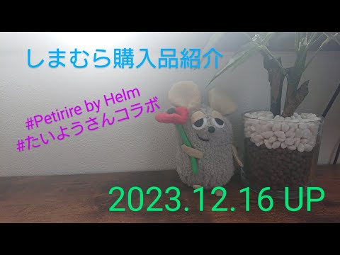 【Haul】しまむら購入品紹介＊2023.12.16/Petirire by Helm/たいようさんコラボ