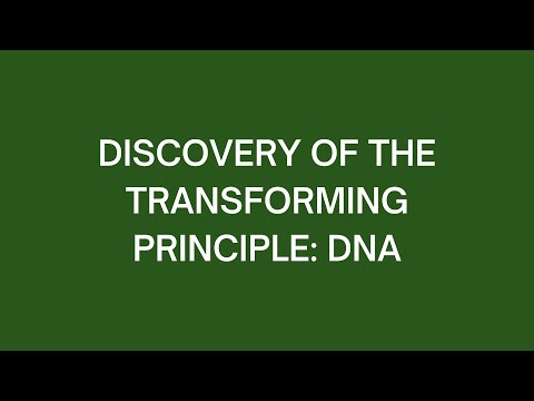 Discovery of the Transforming Principle: DNA