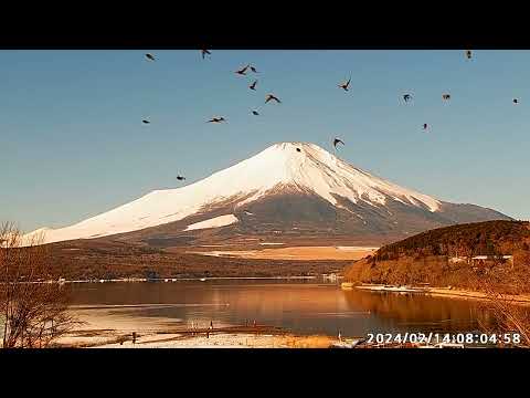 【LIVE】山中湖からの「富士山ライブカメラ」　"mount fuji live camera" from Lake Yamanakako