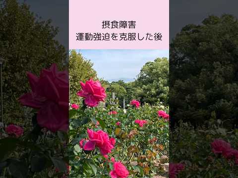 【運動強迫と拒食症】毎日運動しないと太ってしまう。ツライ運動がやめられない方へ#公認心理師摂食障害専門カウンセラー #摂食障害専門カウンセラー中村綾子