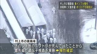 村上市の養鶏場で高病原性鳥インフルエンザ 県内最多130万羽 自衛隊に災害派遣要請し殺処分始まる　UXニュース1月6日OA