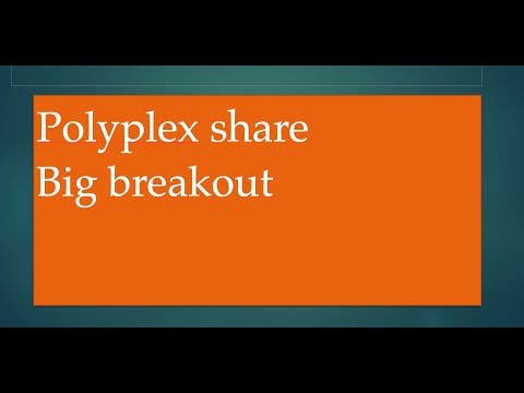 Polyplex share latest news