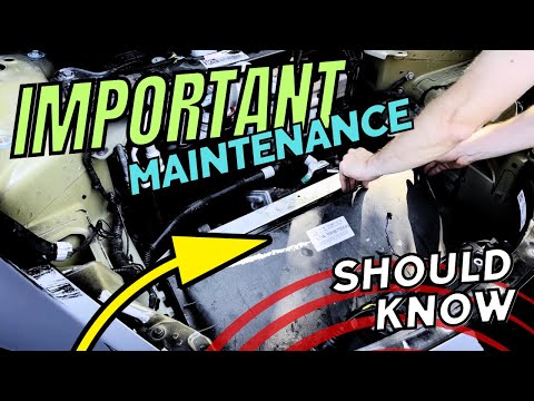 If You Own a Tesla, Do This Now!!! No.1 Most Overlooked DIY Maintenance Item