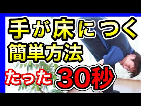 【効果抜群】手が床につくようになるストレッチ