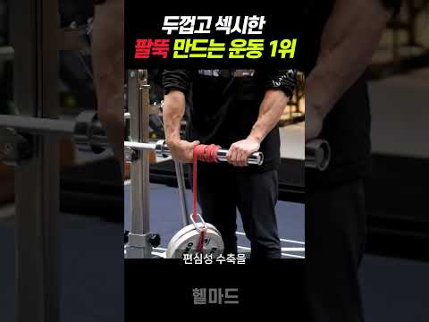 굵고 섹시한 팔뚝 운동 1위 '추감기'의 놀라운 효과와 방법 (리스트롤러, 전완근 악력 운동)