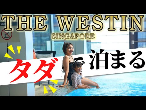 【2歳子連れ旅行Vlog】ウェスティンホテル・シンガポールで無料宿泊。マリーナベイエリアを堪能してきました｜日本人・ベトナム人の国際結婚カップル