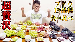 【超贅沢！！】ブドウ19品種の食べ比べ！美味しい品種のブドウは！？味の違いや特徴を調査する！きっと好きな品種が見つかる！