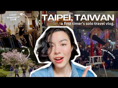 Solo TAIWAN TRAVEL Vlog| first time in taipei, cheap shopping, mrt ride, night markets, parks| 台北自由行