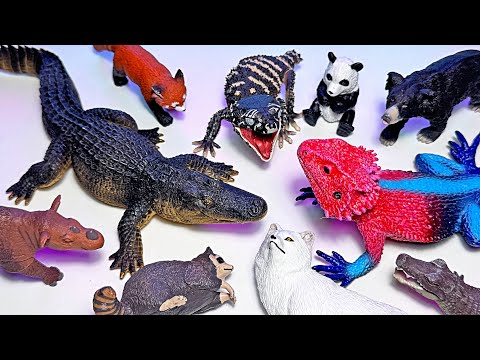 NEW Reptiles & Wild Animal Toys - Alligator, Crocodile, Panda, Chameleon, Red Panda, Black Bear, Pig