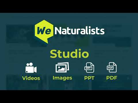 WeNaturalists ‘STUDIO’ - Discover the revolutionary way to monetize your premium content.