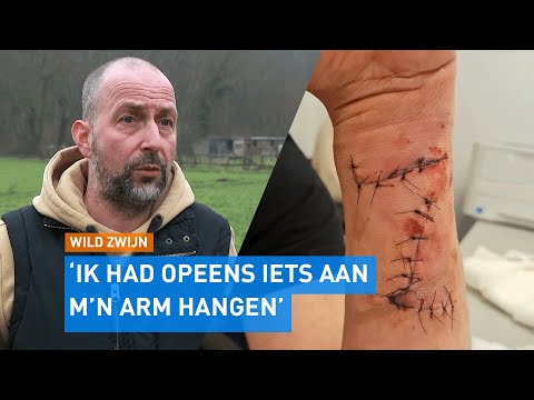 HEFTIG: Remko heeft 17 hechtingen na AANVAL door WILD ZWIJN | Hart van Nederland