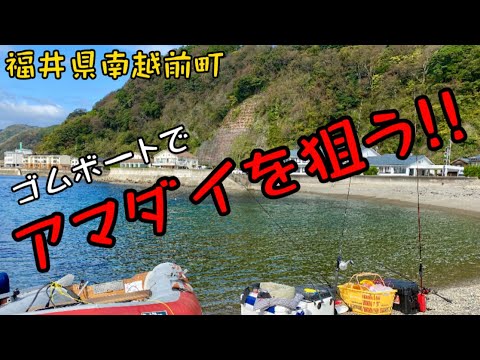 福井県でアマダイを狙う方法