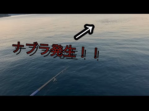 【突然のナブラ】2022年初釣行！！