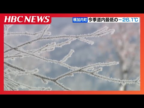 【キンキンに冷えた朝】北海道幌加内町で－26.1℃、今シーズン道内最低、木々の枝先まで凍りつく「２日くらい続くと水道がちょっと心配」