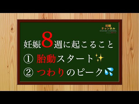 【妊娠8週】胎動がスタート✨つわりはピークに💦