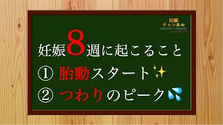 【妊娠8週】胎動がスタート✨つわりはピークに💦