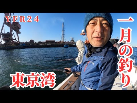 【2024年1月の釣り】年末の爆釣7キロの鰤にランカーシーバスは1月も続くのか？激渋の東京湾で何を狙う？　＃東京湾釣り　＃アジ釣り　＃泳がせ