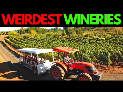 The Most Bizarre Wineries You Won't Believe Exist! 😱🍷