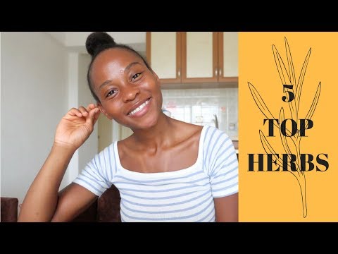 MY TOP 5 HERBS! 🌱