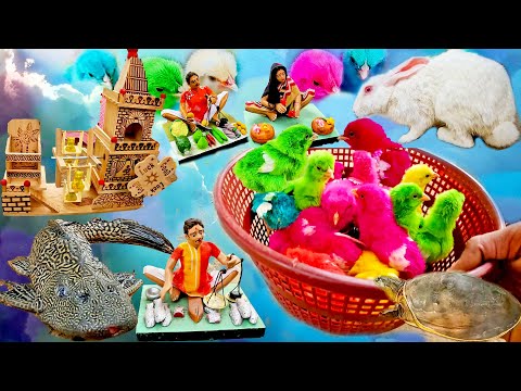 Murgi ke bacche | Colour CHICKS | Devil Fish | Rabbit | Tortoise | Fun Toys | Baby Chicken