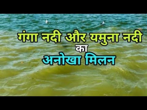 Prayagraj sangam video live