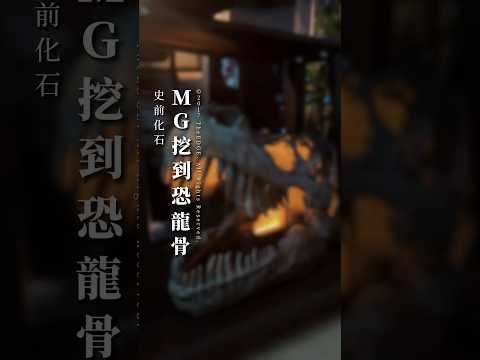 史前化石｜MG挖到恐龍骨