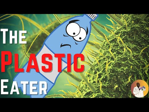 Earth's Plastic Eating Machine! | Biorecycling w/ PETase