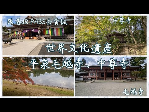 日本東北賞楓、世界文化遺產平泉中尊寺、毛越寺。