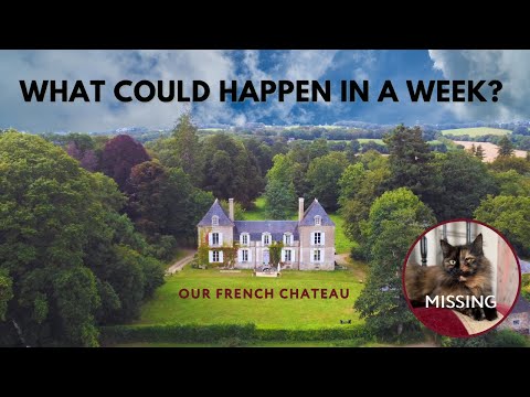 A Week In Our Life: A Missing Cat, Chateau Renovation & Organic Food Shopping In France